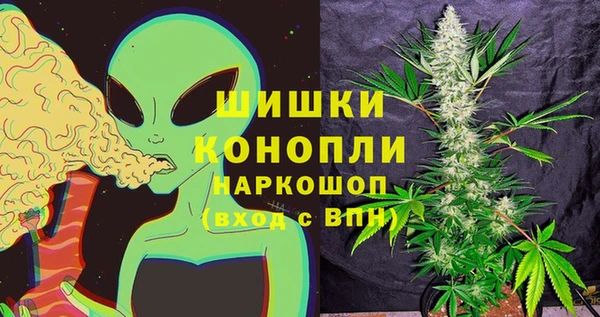 шишки Балахна