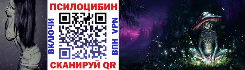 Псилоцибиновые грибы прущие грибы  Вяземский 